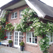 Ansicht Ferienhaus 5