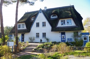 Bild: Ferienwohnung Sonnenblume in Achtern Diek, Zingst