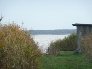 Bild: Ferienwohnung Becker an der Ostsee