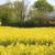 Galeriebild 1
